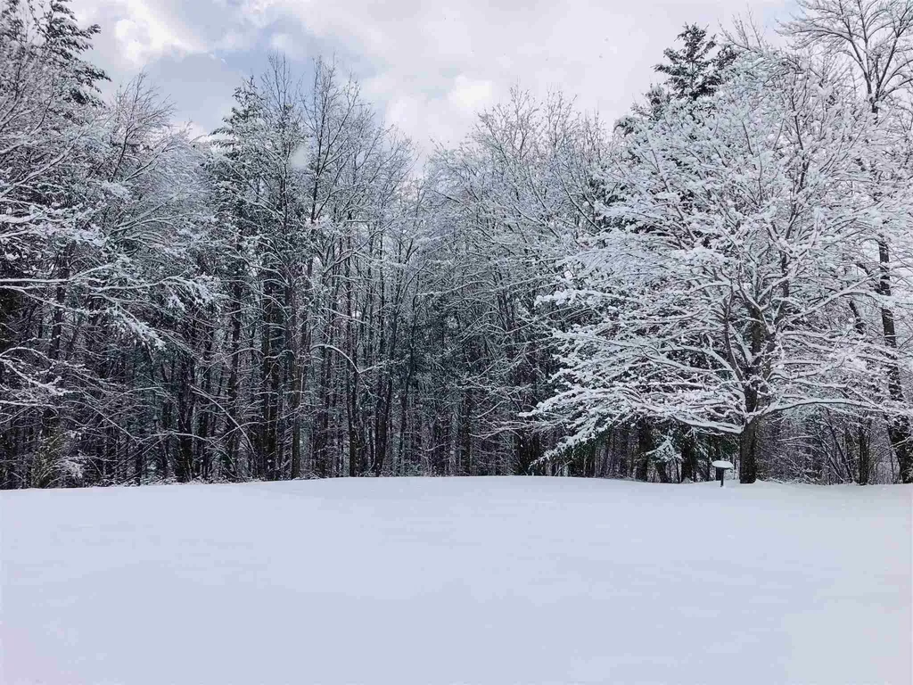 115 Felicity 2nd Avenue Williamstown VT 05679