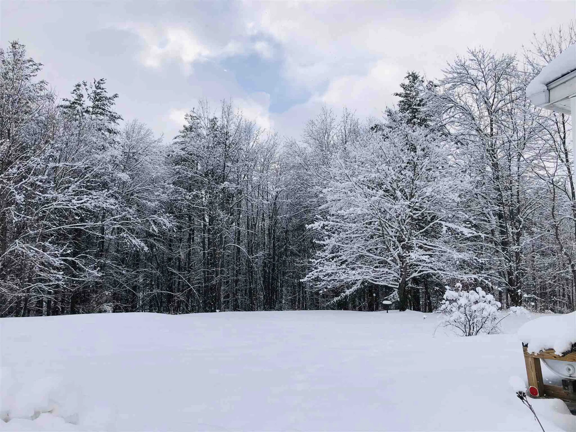 115 Felicity 2nd Avenue Williamstown VT 05679