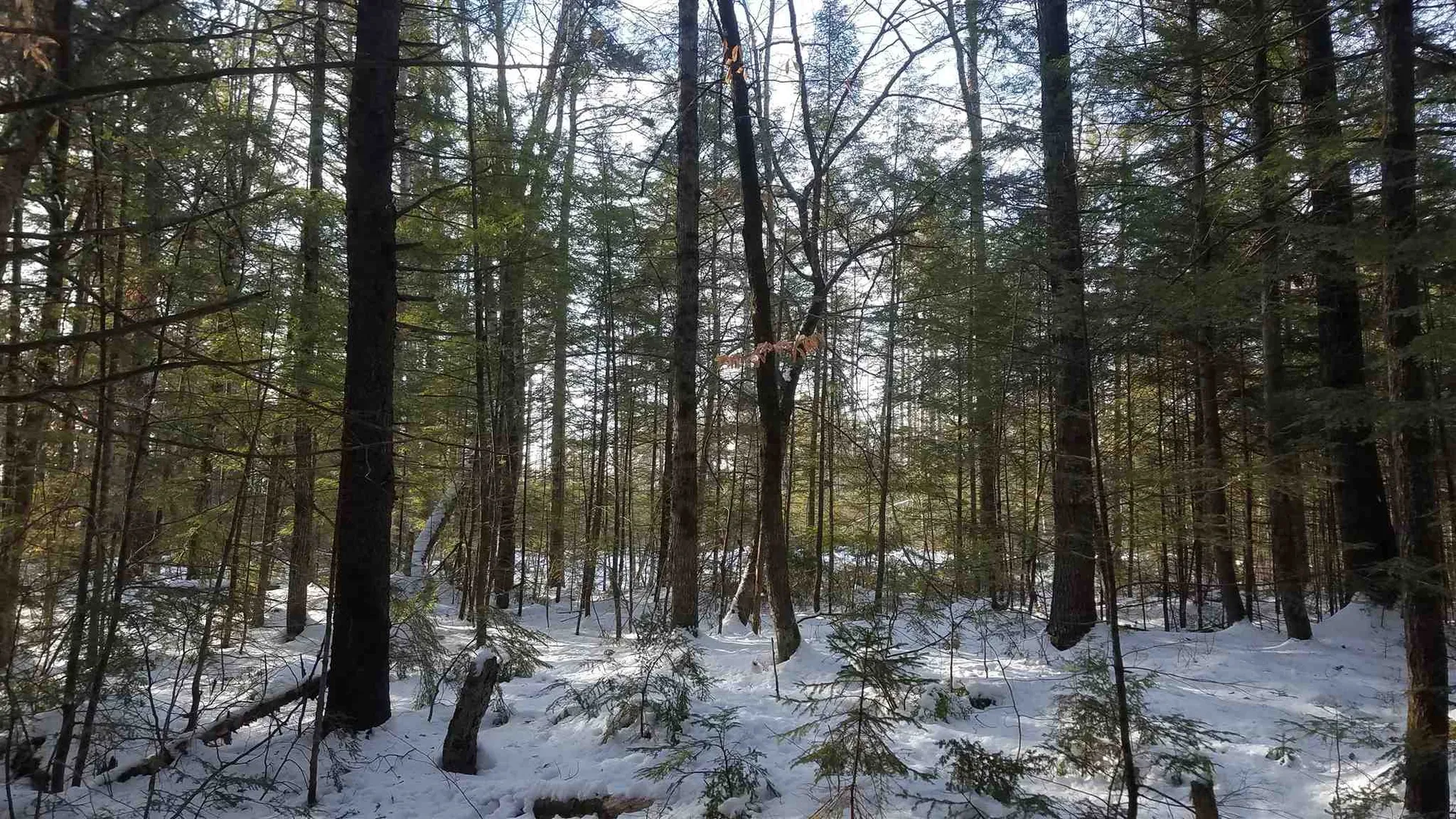 480 Eaton Road Conway NH 03818