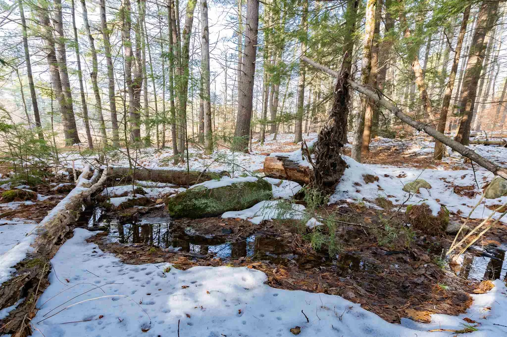 505 Shirley Hill Road Goffstown NH 03045
