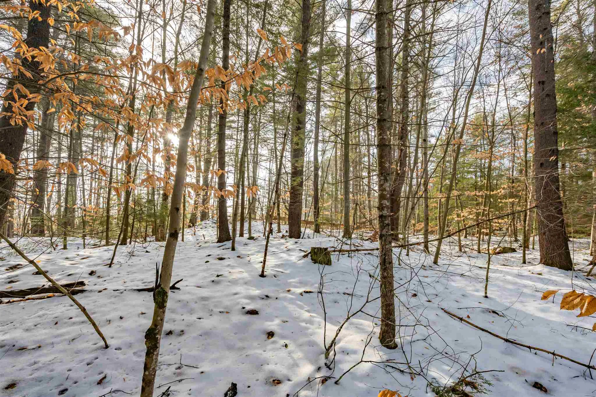 505 Shirley Hill Road Goffstown NH 03045