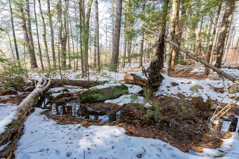 505 Shirley Hill Road Goffstown NH 03045
