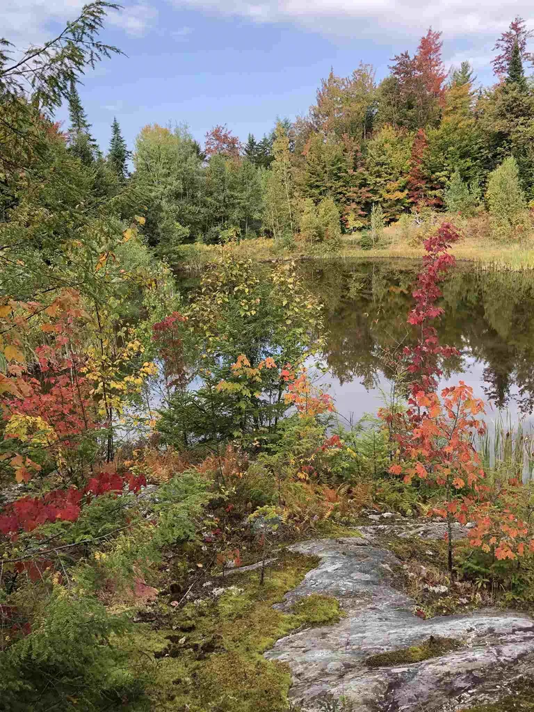 1239 Baldwin Brook Road Wolcott VT 05680