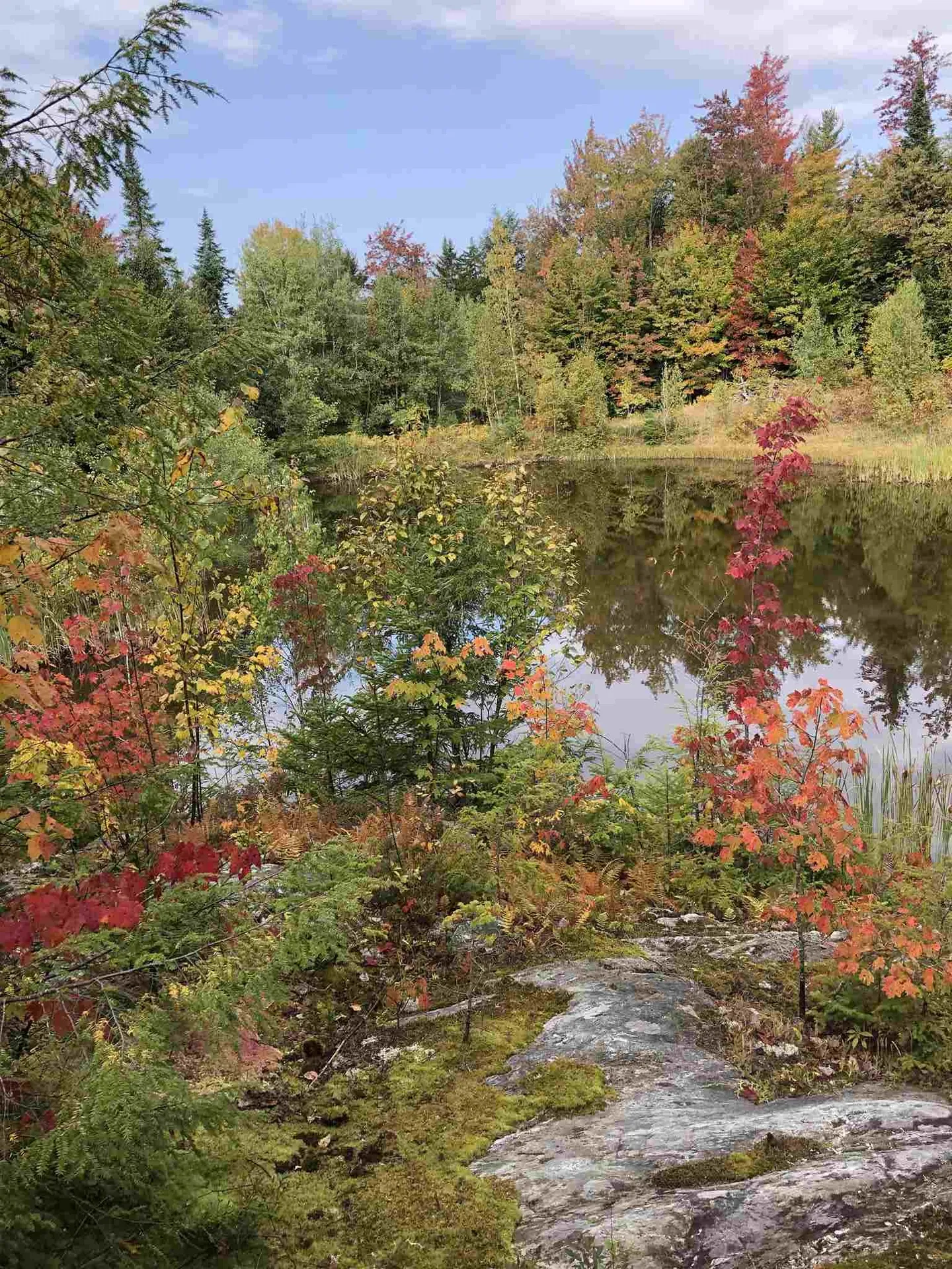 1239 Baldwin Brook Road Wolcott VT 05680