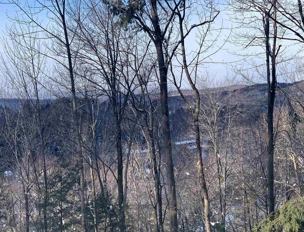 2 Golf Avenue Extension Woodstock VT 05091
