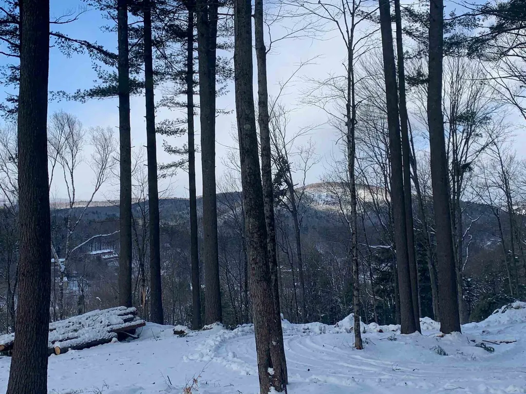 2 Golf Avenue Extension Woodstock VT 05091