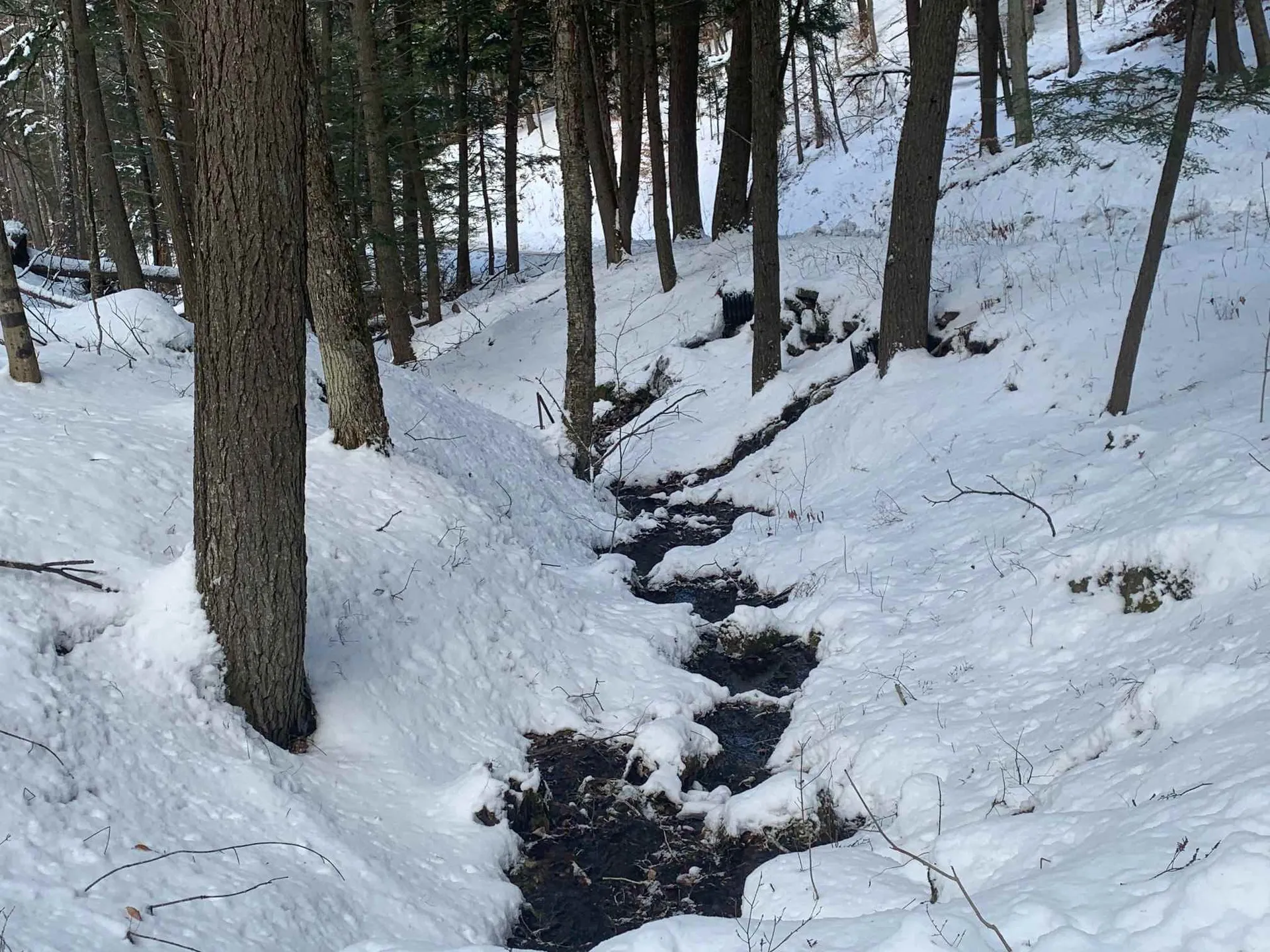 2 Golf Avenue Extension Woodstock VT 05091