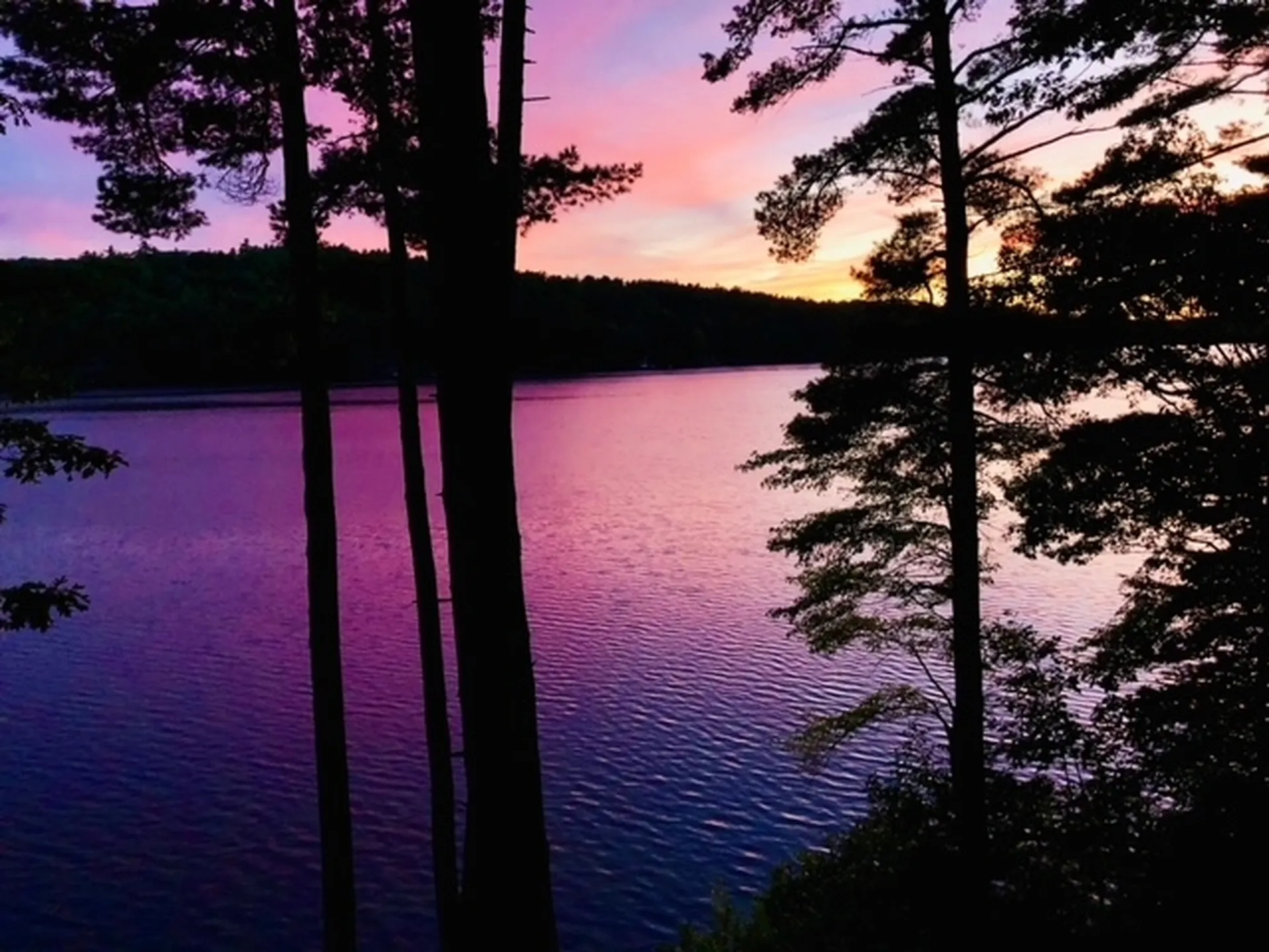 295 Camp School Road Wolfeboro NH 03894