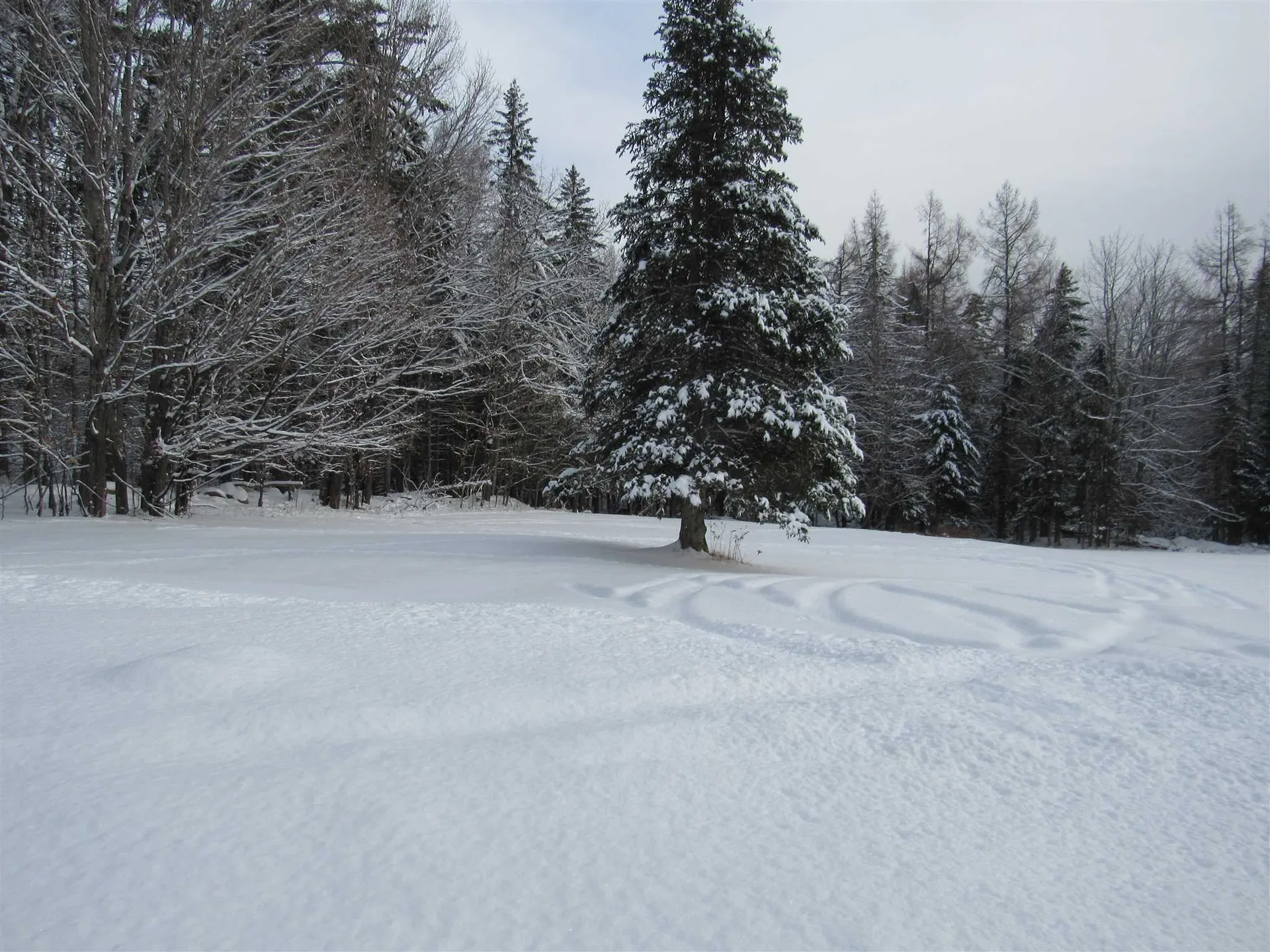426 Hill Road Dummer NH 03588
