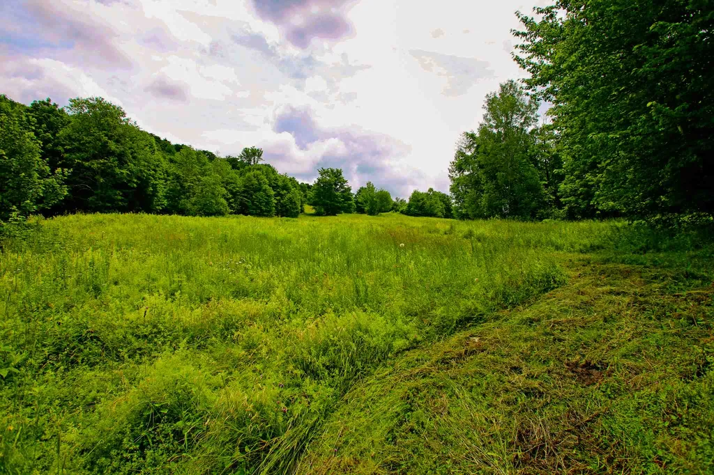 418 Loop Road Warren VT 05674