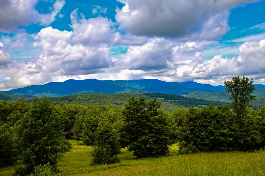 418 Loop Road Warren VT 05674