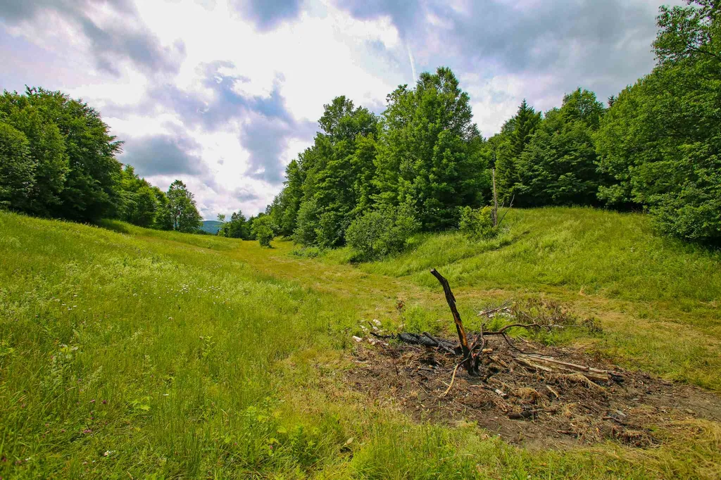 418 Loop Road Warren VT 05674