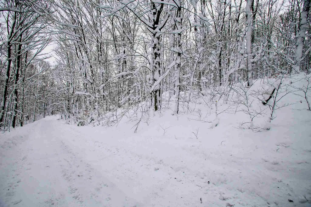 418 Loop Road Warren VT 05674