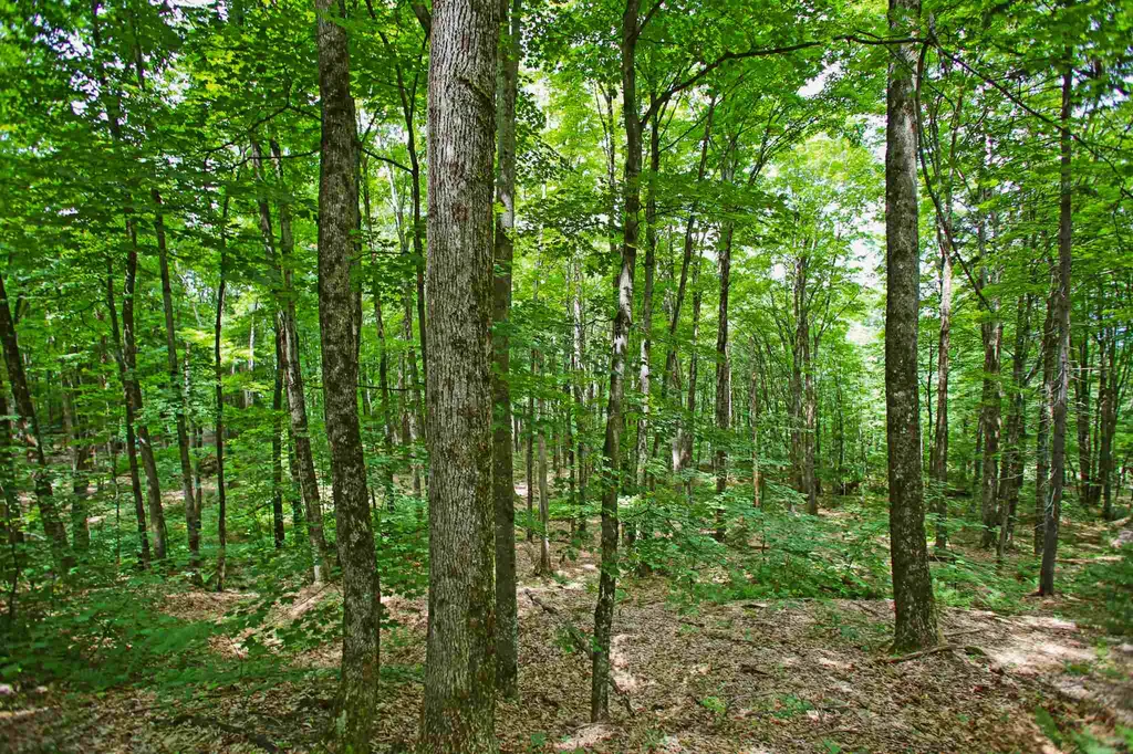 418 Loop Road Warren VT 05674