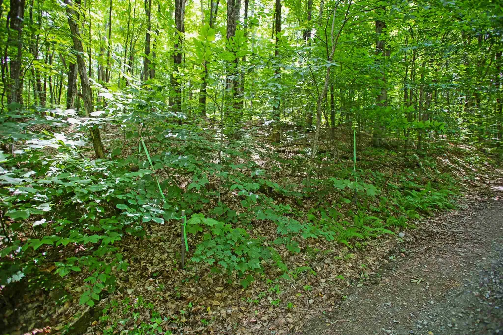 418 Loop Road Warren VT 05674