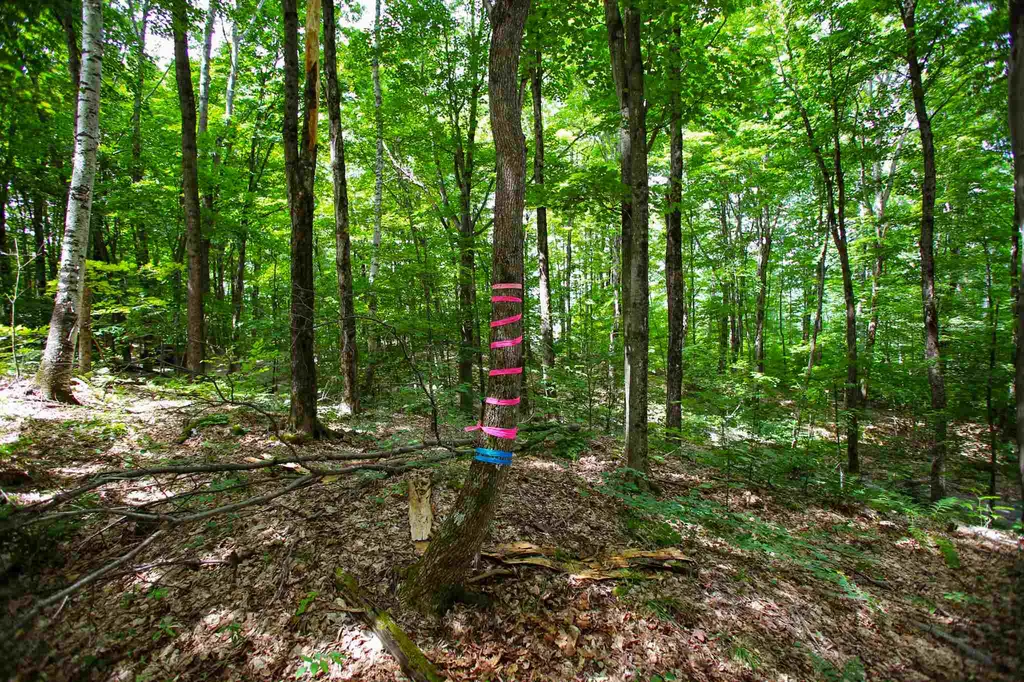 418 Loop Road Warren VT 05674
