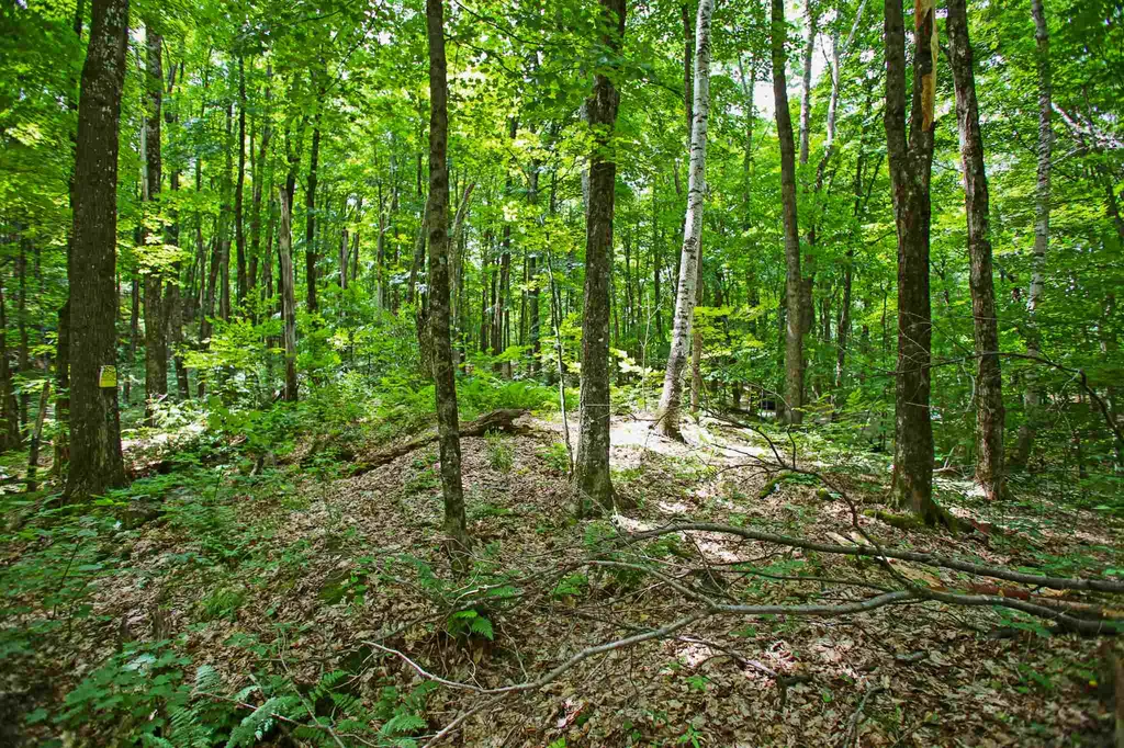 418 Loop Road Warren VT 05674