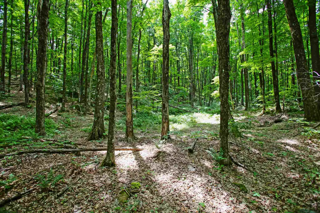 418 Loop Road Warren VT 05674