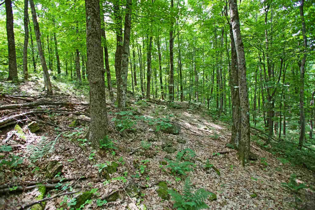 418 Loop Road Warren VT 05674