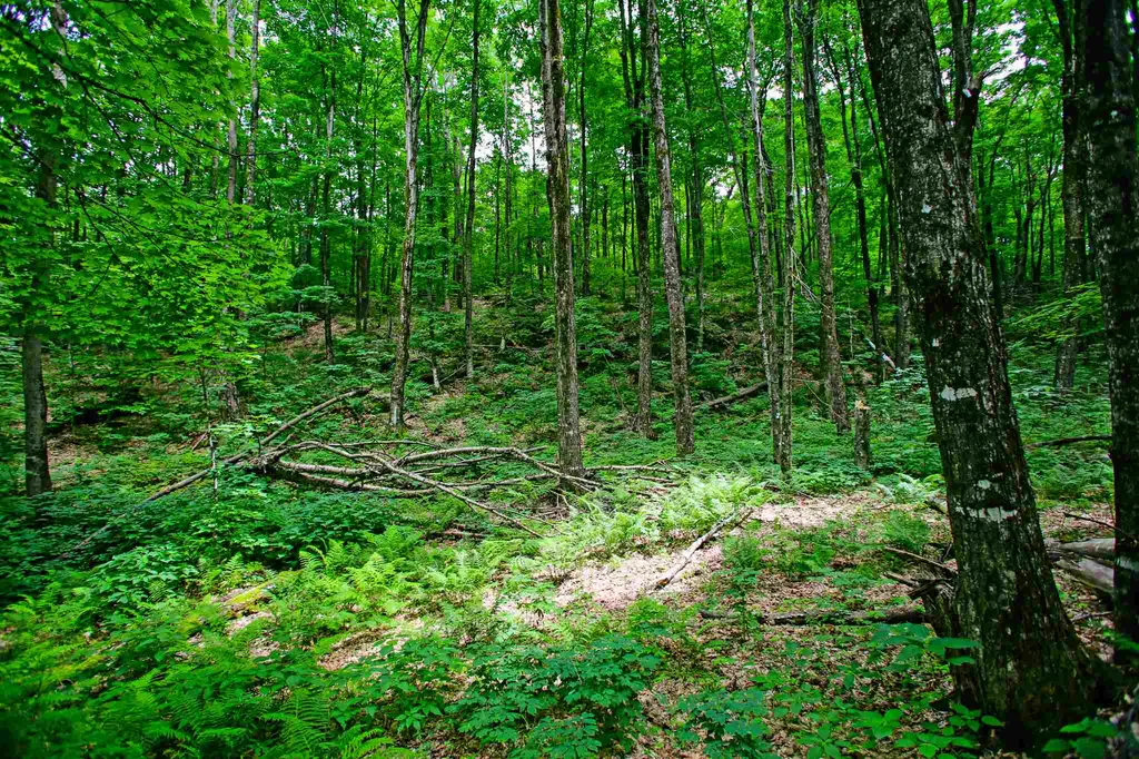 418 Loop Road Warren VT 05674