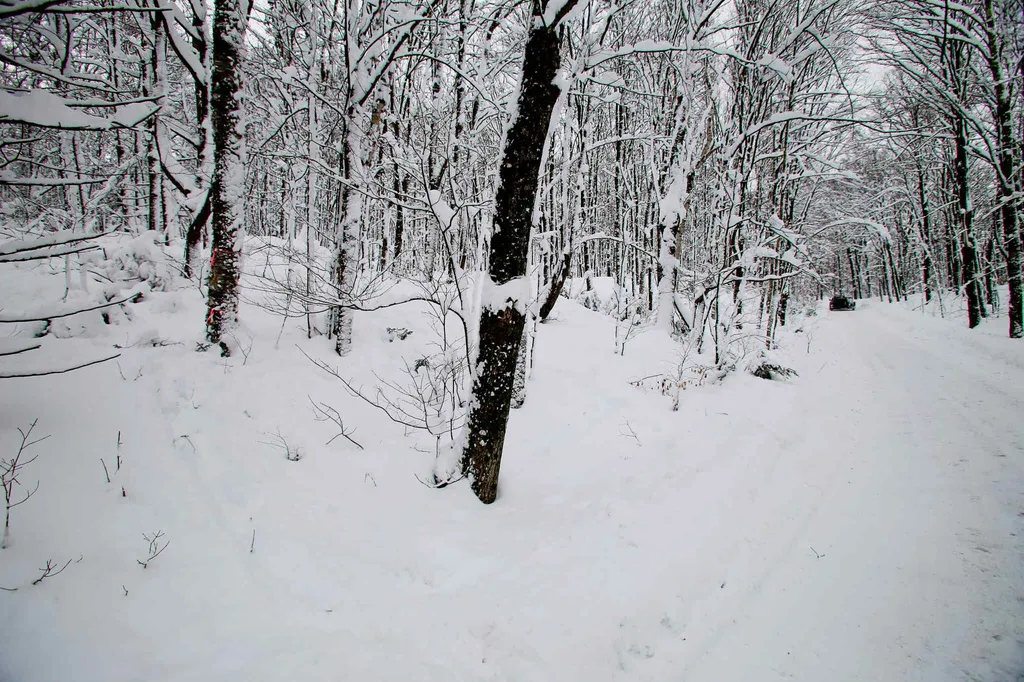 418 Loop Road Warren VT 05674