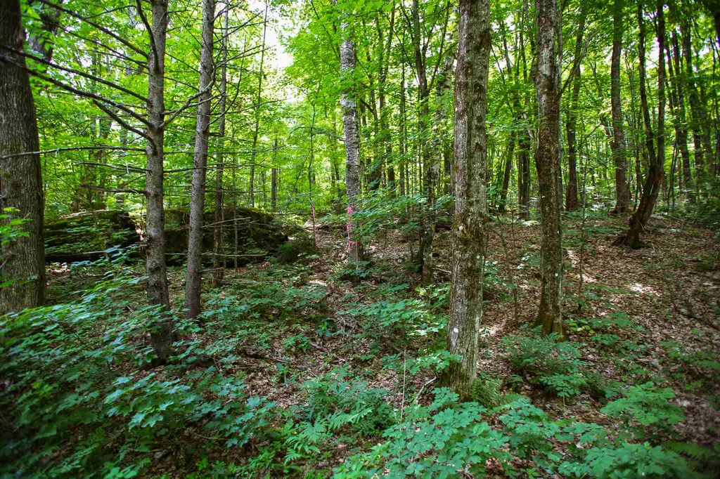 418 Loop Road Warren VT 05674
