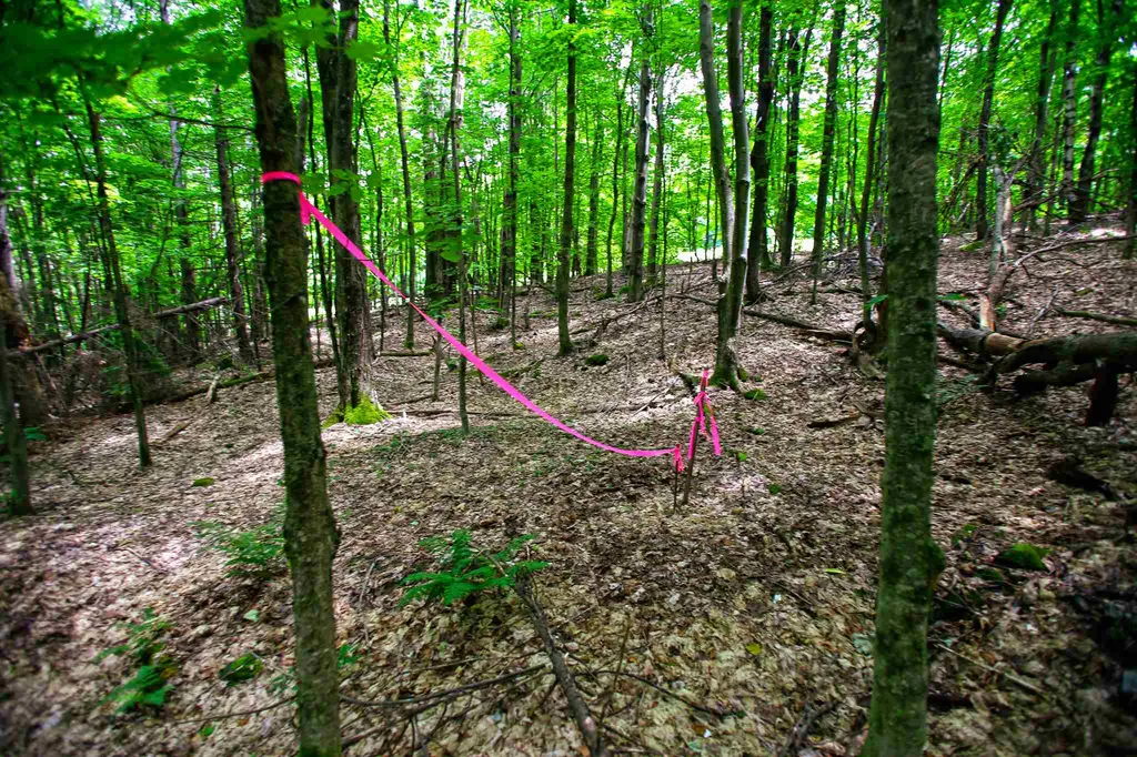 418 Loop Road Warren VT 05674