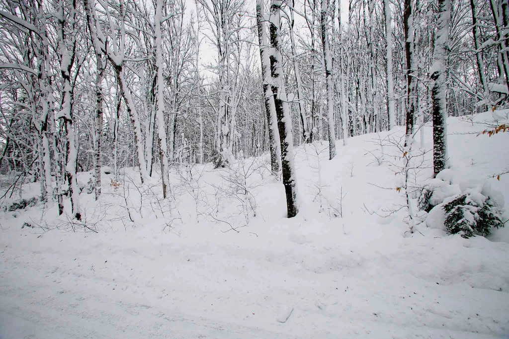 418 Loop Road Warren VT 05674