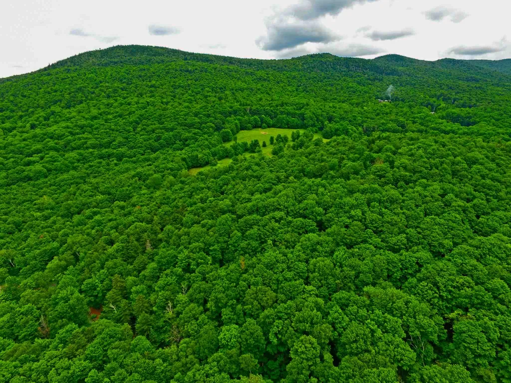 418 Loop Road Warren VT 05674