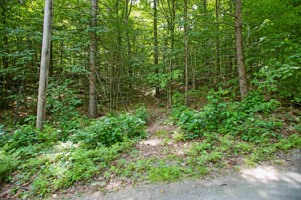 418 Loop Road Warren VT 05674