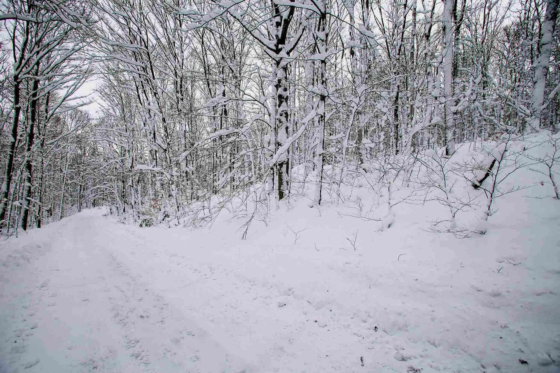 418 Loop Road Warren VT 05674