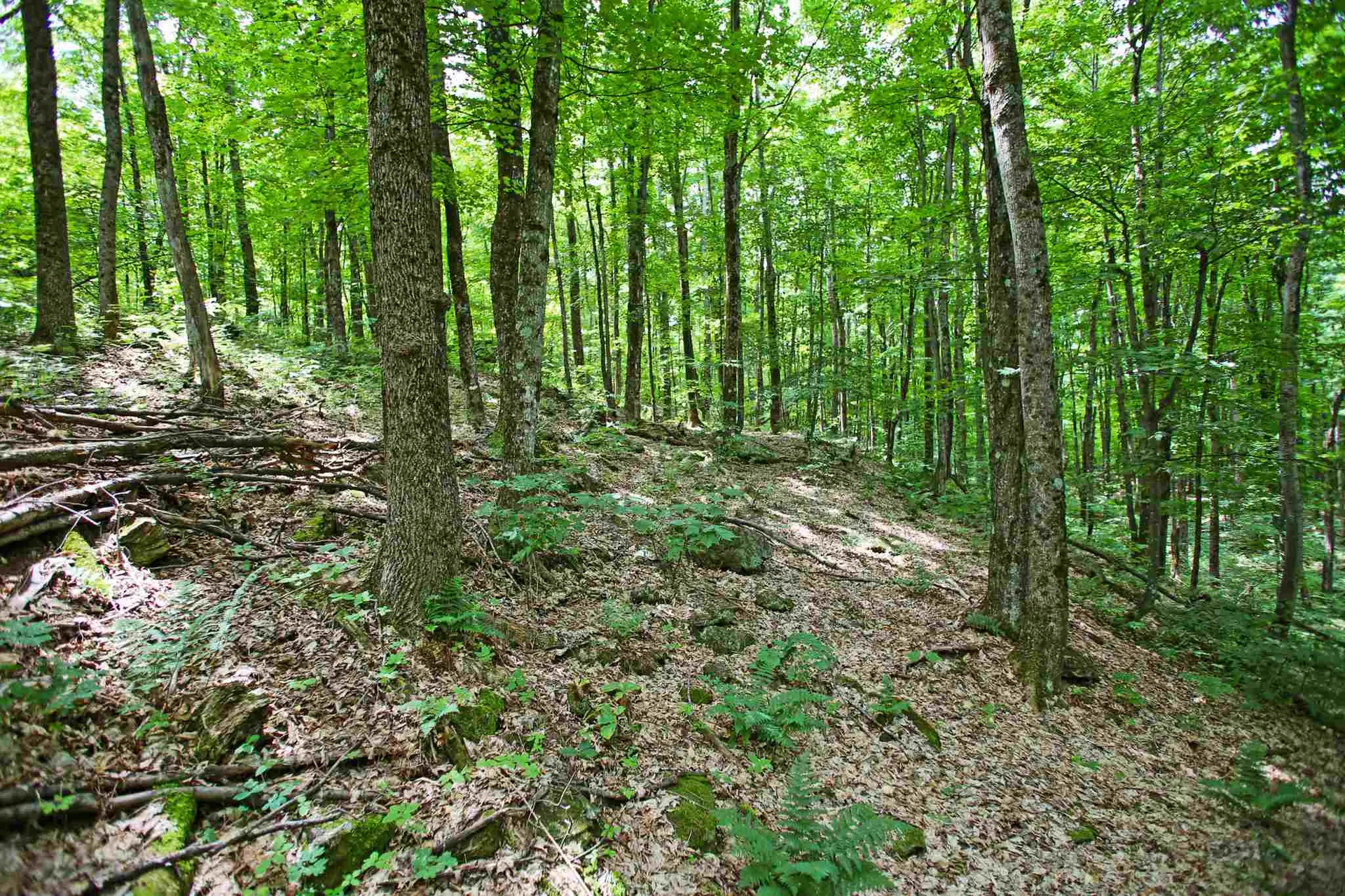 418 Loop Road Warren VT 05674