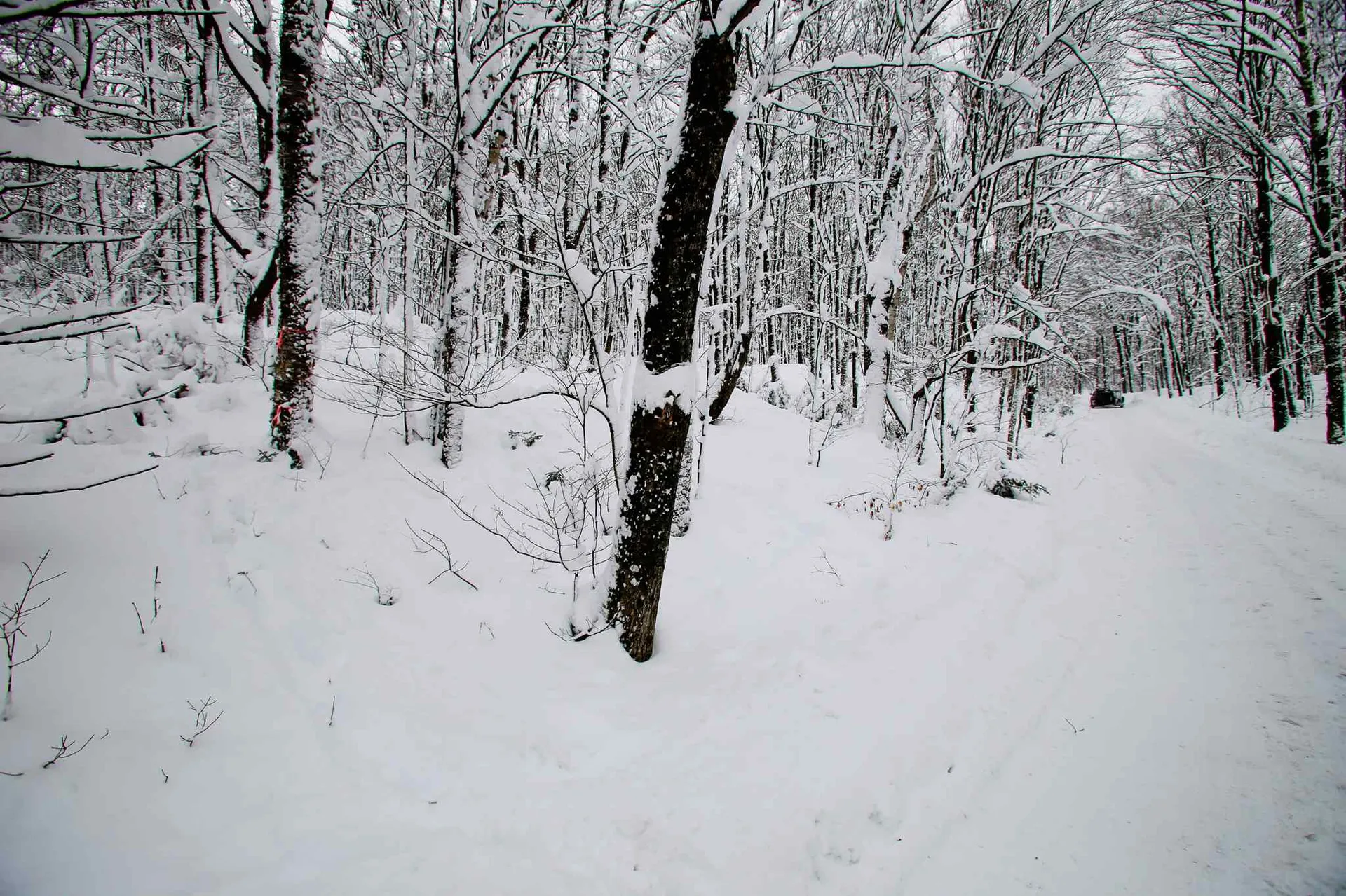 418 Loop Road Warren VT 05674