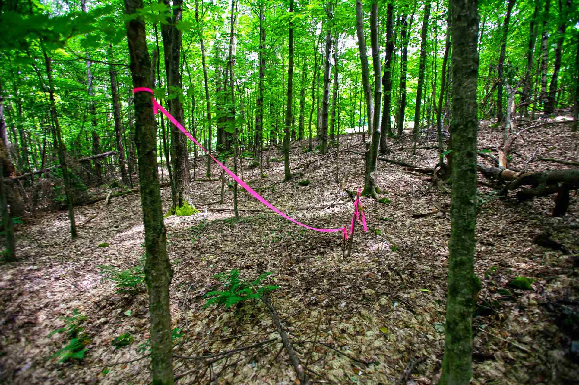 418 Loop Road Warren VT 05674