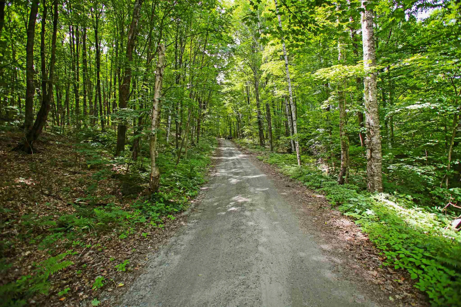 418 Loop Road Warren VT 05674