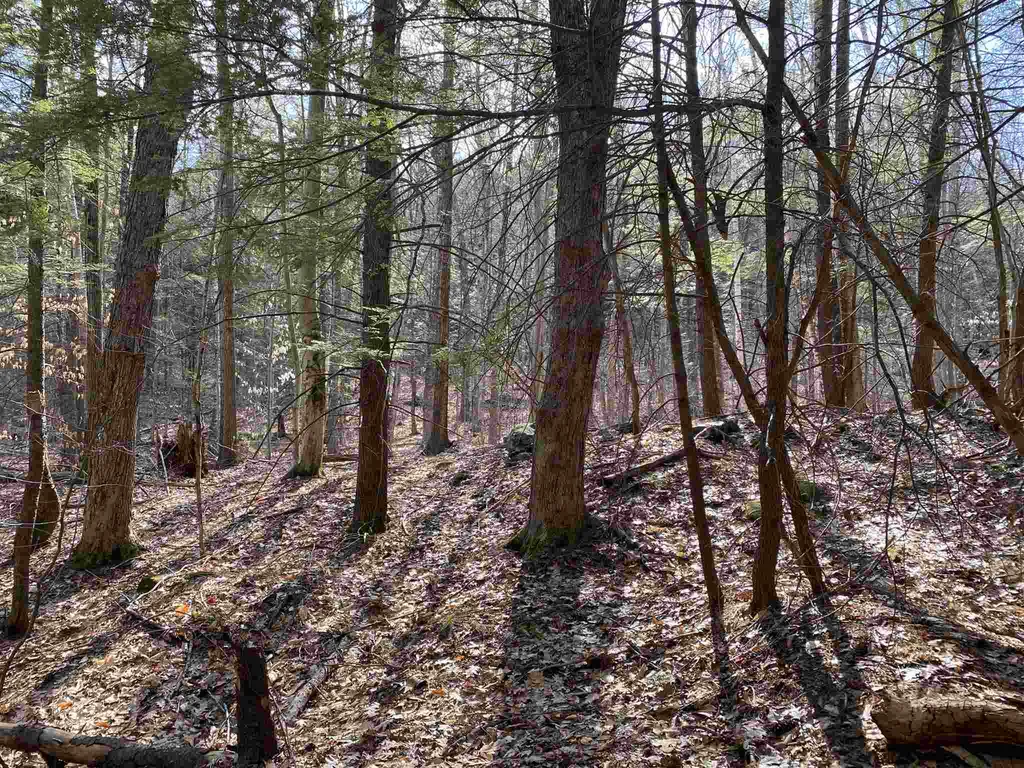 000 Mountain Road Sanbornton NH 03269