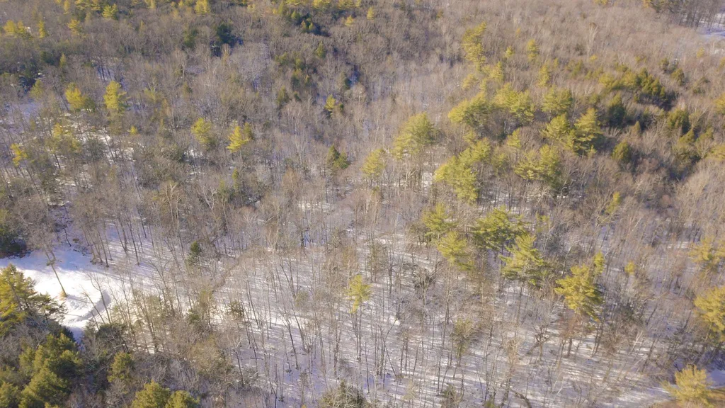000 Mountain Road Sanbornton NH 03269