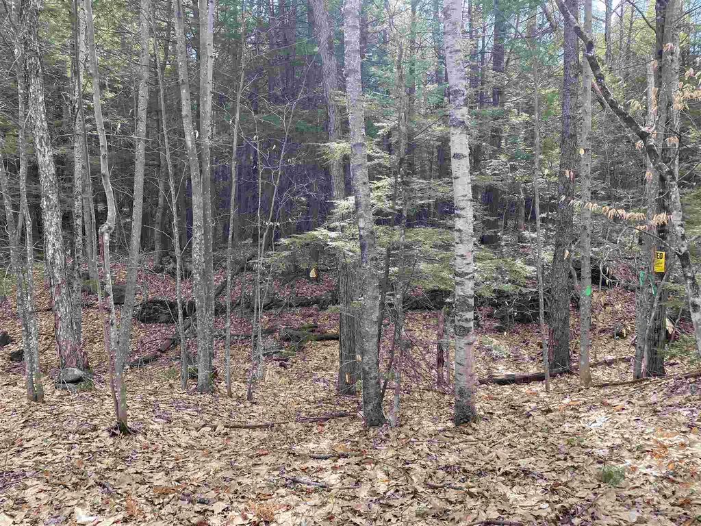 000 Mountain Road Sanbornton NH 03269