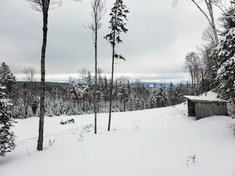 393 Curtis Road Morgan VT 05853