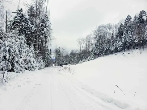 393 Curtis Road Morgan VT 05853