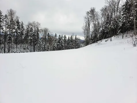 393 Curtis Road Morgan VT 05853