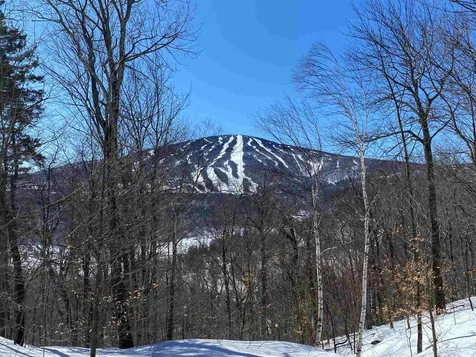 22 Old Ridge Road Winhall VT 05340