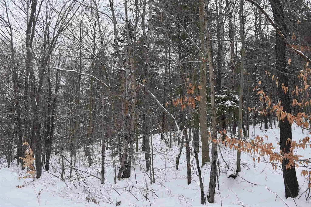 Lot 4 Bean Road Northfield VT 05663