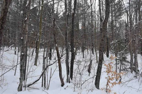 Lot 4 Bean Road Northfield VT 05663