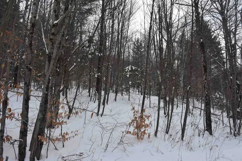 Lot 4 Bean Road Northfield VT 05663