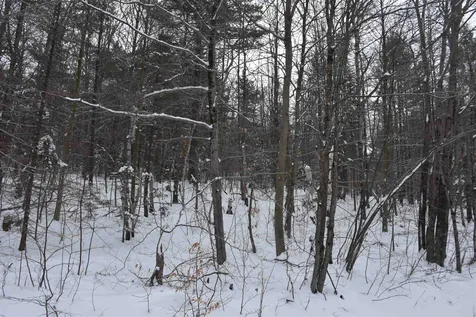 Lot 4 Bean Road Northfield VT 05663