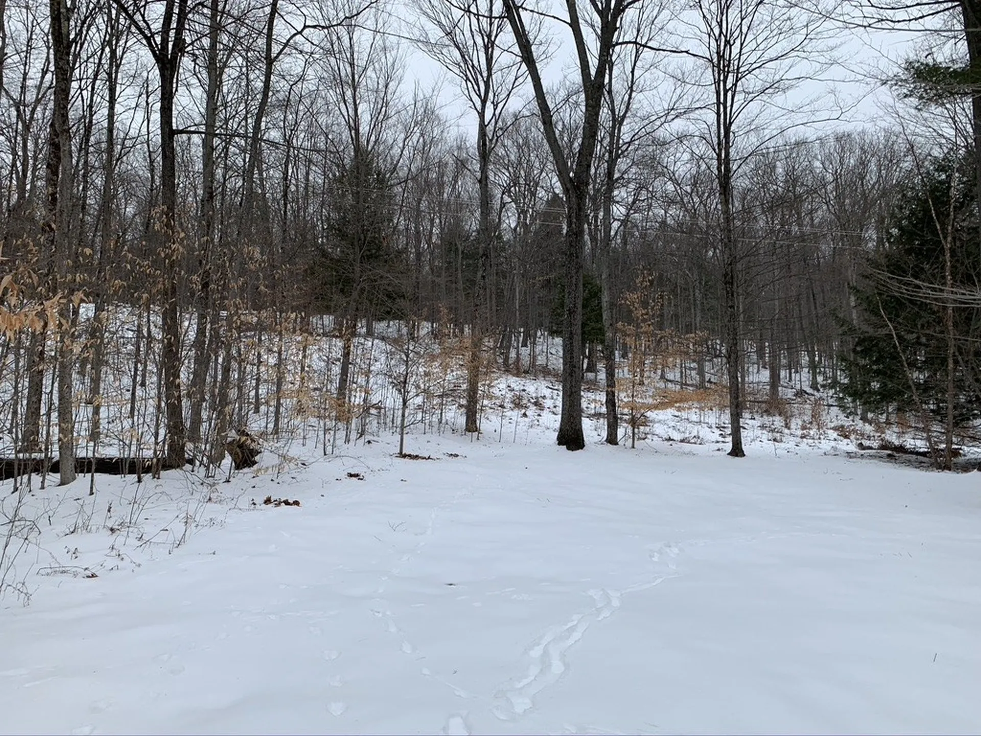 43 Pauline Cole Drive Hartford VT 05059