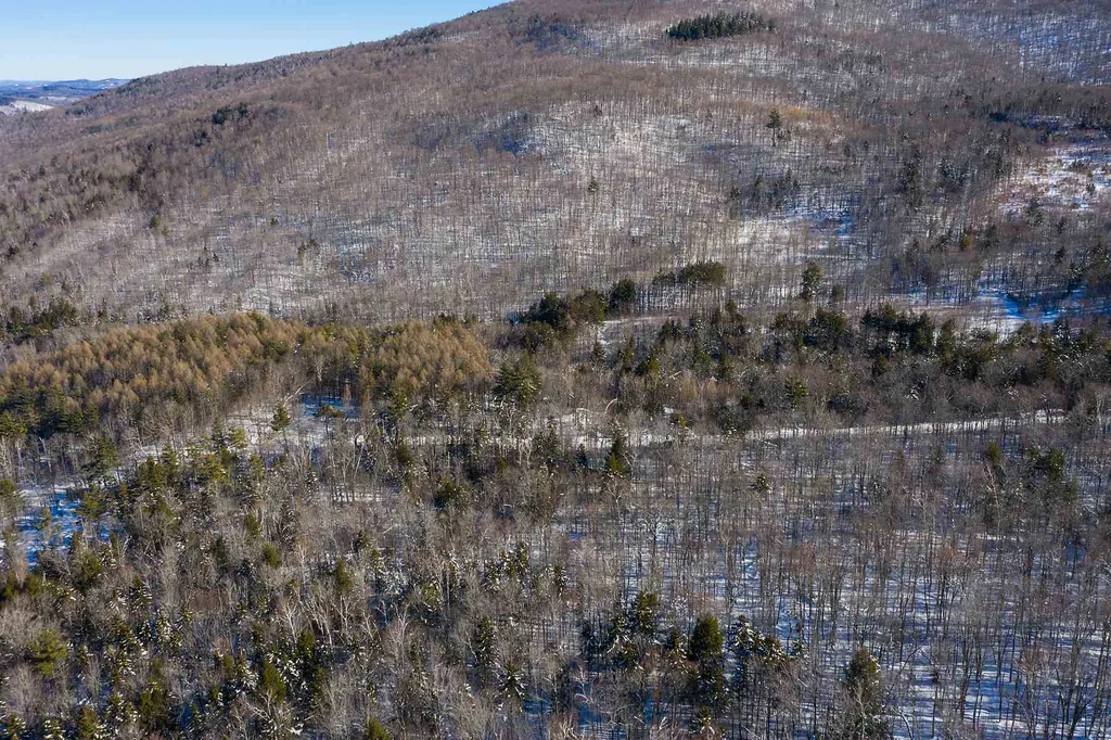 Lot 3 Curtis Hollow Road Woodstock VT 05091