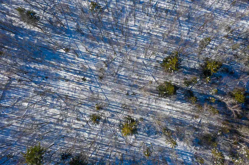 Lot 3 Curtis Hollow Road Woodstock VT 05091
