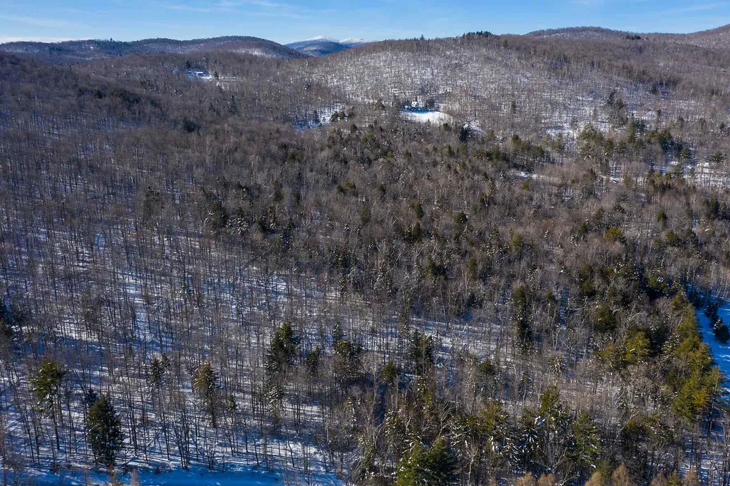 Lot 3 Curtis Hollow Road Woodstock VT 05091